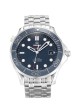 Replica Omega Seamaster 300m Co-Axial 212.30.41.20.03.001